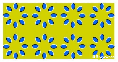 【震撼眼球】世界上最最神奇最最詭異的41張圖片 【震撼眼球】世界上最最神奇最最詭異的41張圖片