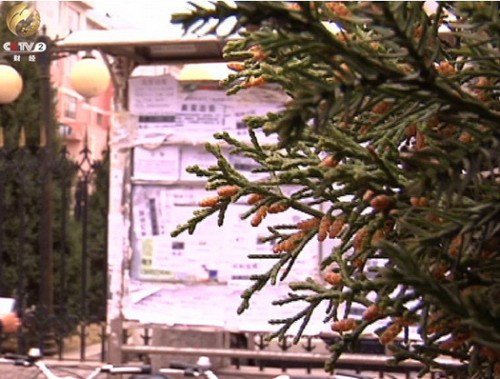 陜西神木房?jī)r(jià)腰斬 地產(chǎn)商資金鏈斷裂暴病身亡