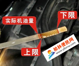 ֵ܇ ゃԓ˽ⱣBЩĻ 